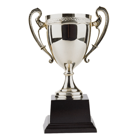 Levin Litigation Trophy Icon