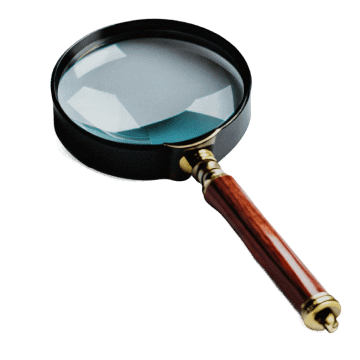Levin Litigation Magnifying Glass Icon