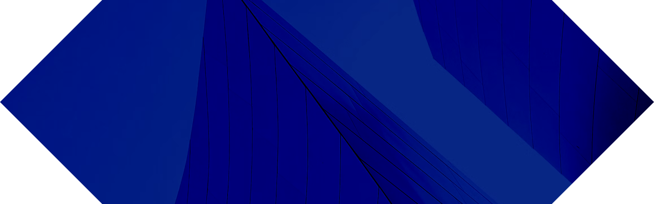 Levin Litigation Hexagon Shape