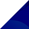 Levin Litigation Triangle Shape