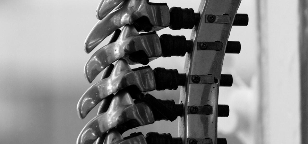 Close-up view of a spinal cord