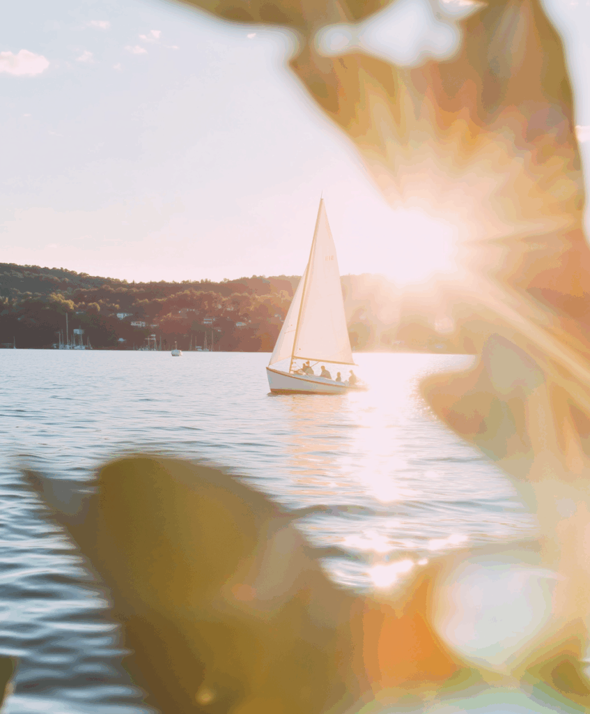 A sailboat on a calm lake at sunset, framed by blurred leaves and golden sunlight